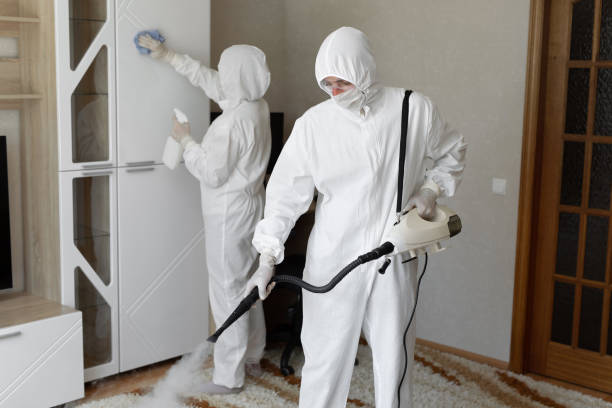 Mold Removal Process in Belle Fourche, SD