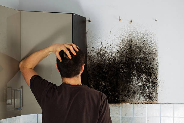 Best Mold Cleaning Services  in Belle Fourche, SD